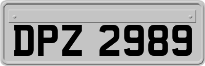 DPZ2989