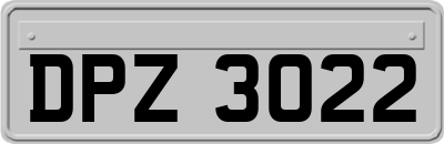 DPZ3022