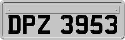DPZ3953