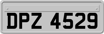 DPZ4529