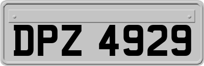 DPZ4929