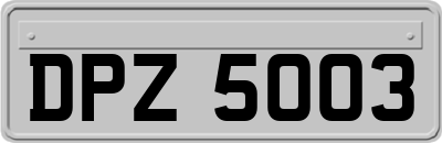 DPZ5003