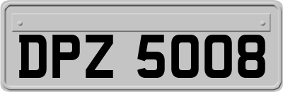 DPZ5008