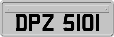 DPZ5101
