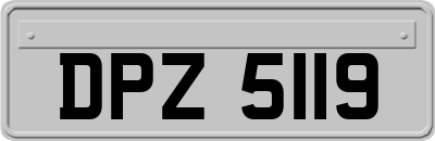 DPZ5119