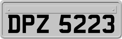 DPZ5223