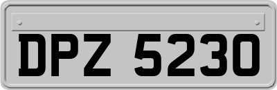 DPZ5230