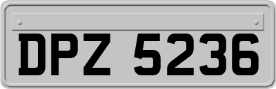 DPZ5236