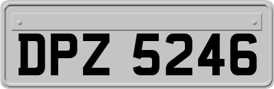 DPZ5246