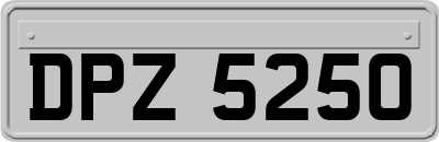 DPZ5250
