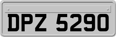 DPZ5290