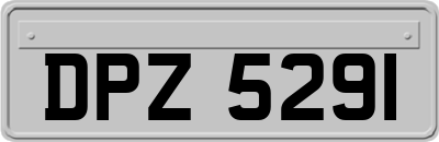 DPZ5291