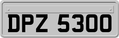 DPZ5300