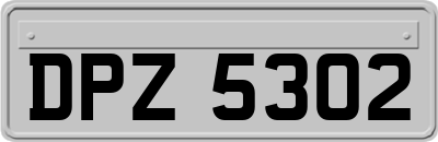 DPZ5302