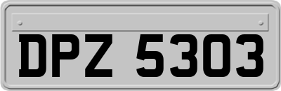 DPZ5303