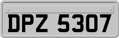 DPZ5307