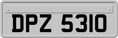 DPZ5310