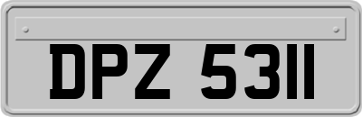 DPZ5311