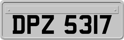 DPZ5317