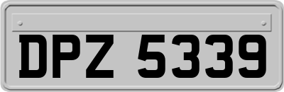 DPZ5339