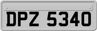 DPZ5340