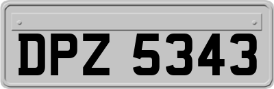 DPZ5343