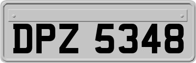 DPZ5348