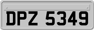 DPZ5349