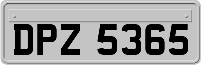 DPZ5365