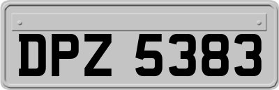 DPZ5383