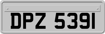 DPZ5391