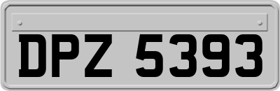 DPZ5393