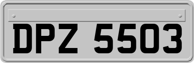 DPZ5503