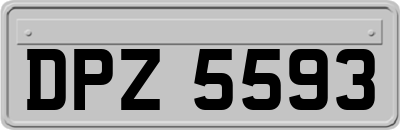 DPZ5593