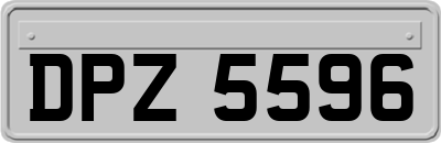 DPZ5596