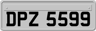 DPZ5599
