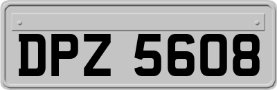 DPZ5608