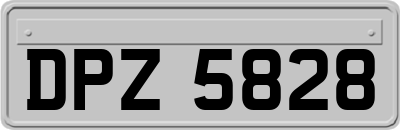 DPZ5828