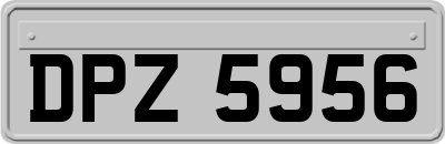 DPZ5956