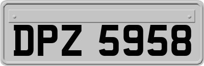 DPZ5958