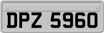 DPZ5960