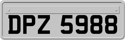 DPZ5988