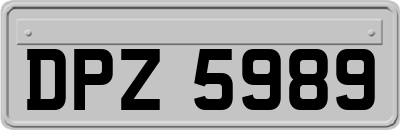 DPZ5989