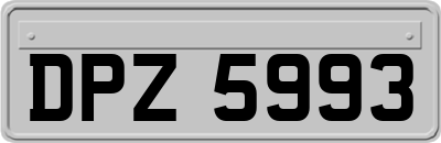 DPZ5993