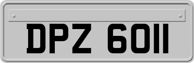 DPZ6011