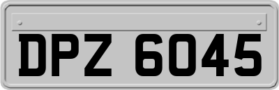 DPZ6045