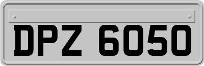 DPZ6050