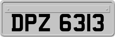 DPZ6313