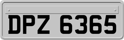 DPZ6365