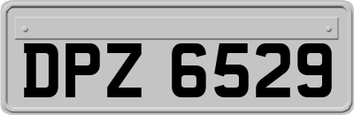 DPZ6529